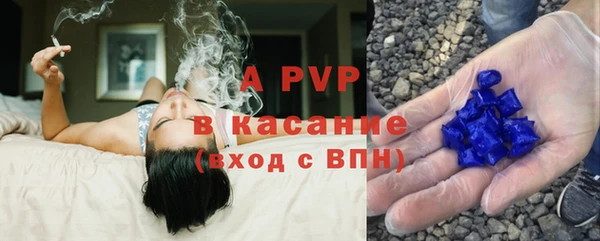 стаф Бугульма