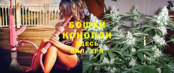 наркотики Бородино