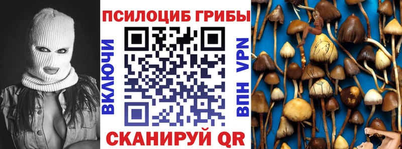 Псилоцибиновые грибы мицелий  Володарск 